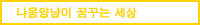 냐옹양냥이 꿈꾸는 세상