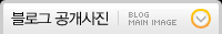 블로그 공개사진