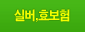 실버,효보험