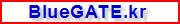 BlueGATE.kr