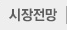 시장전망