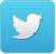 DAUM TWITTER