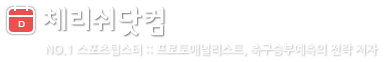 체리쉬닷컴