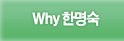 Why 한명숙