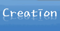 나연이의 크리에이션(Creation)