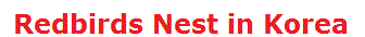 Redbirds Nest in Korea