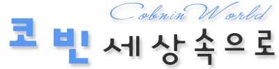 코빈의 세상속으로......