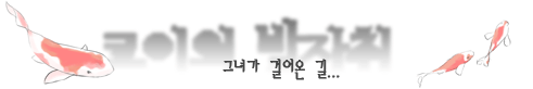 ●코이의 발자취●