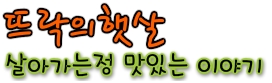 뜨락의 햇살