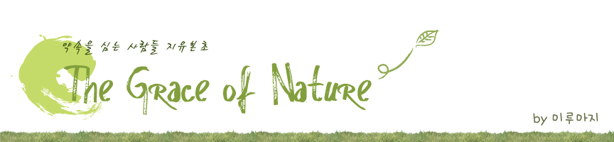 The Grace of Nature