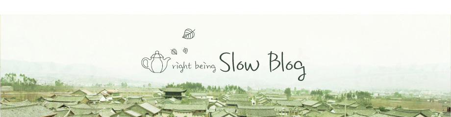 SlowBlog