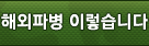 해외파병 이렇습니다.